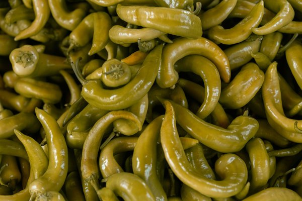 Matériel traiteur : réussir chaque réception avec l'équipement adapté